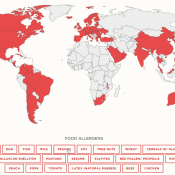 Food Allergens – International Regulatory Chart